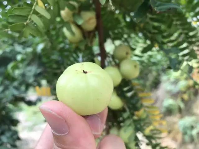 微信图片_20181116151549.jpg